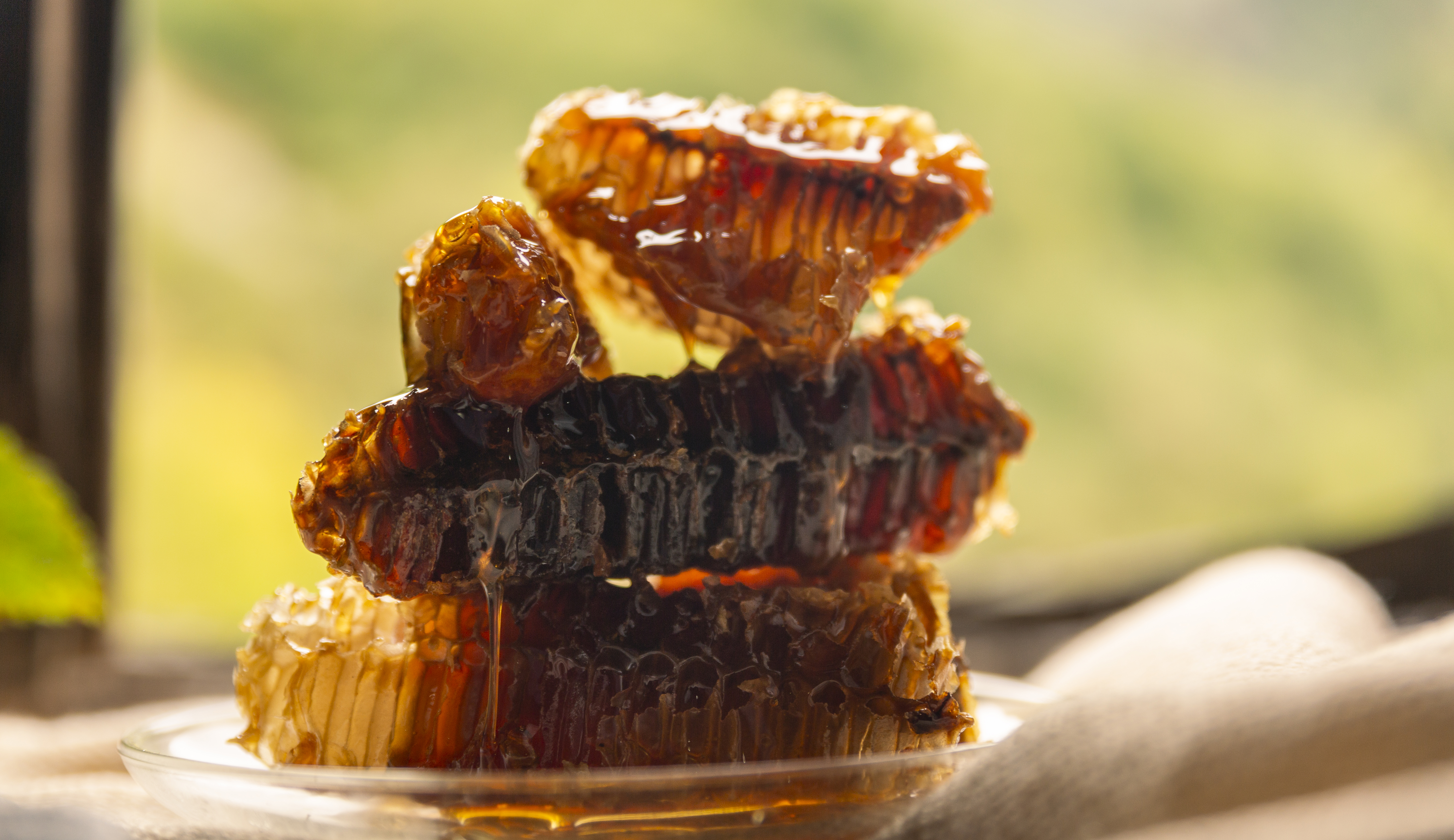 Carrusell_Producto_4